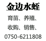 江门市金边生物科技