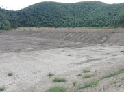 野生养殖区